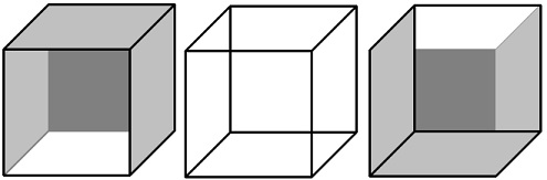 Necker cube illusion